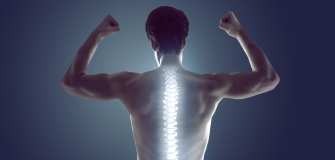 Spine